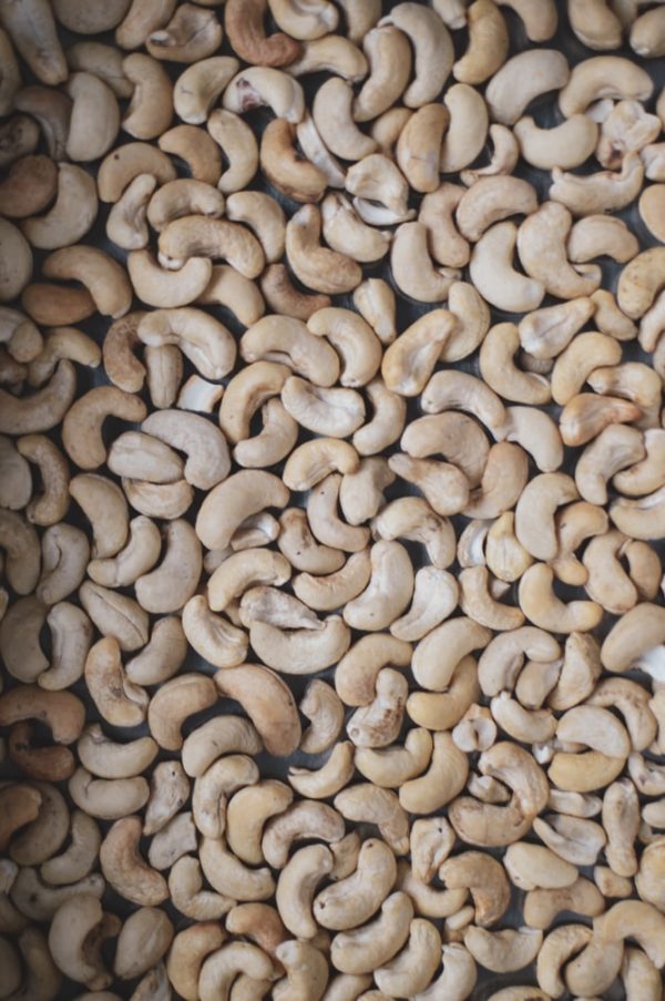 Africa Cashew Nut Exporter