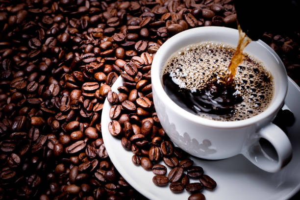 How African Coffee Beans Are Grown, Processed, and Sold Wholesale