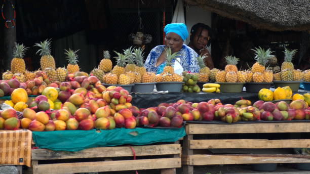Benefits of Partnering with a Trusted African Fruit Exporter